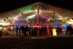 Verlichte transparante tent
